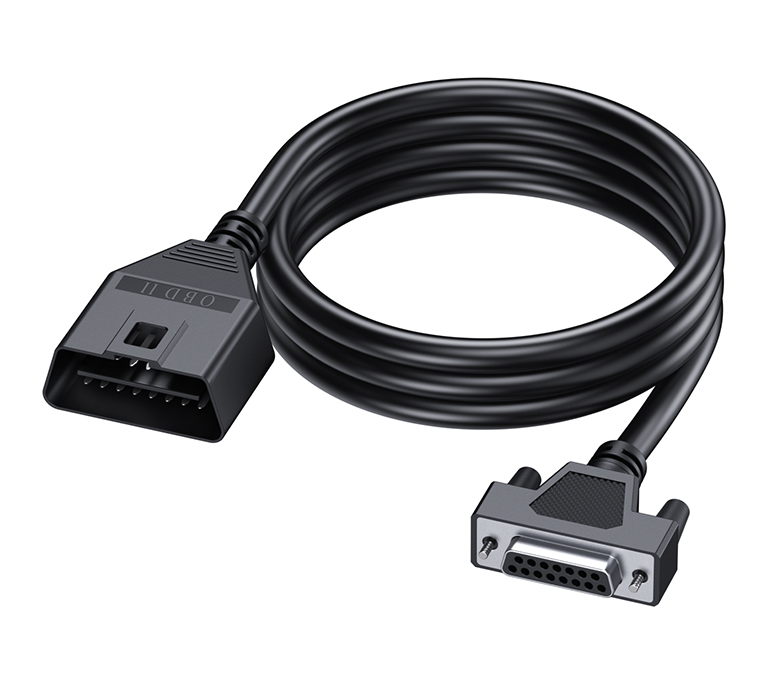 Main Cable