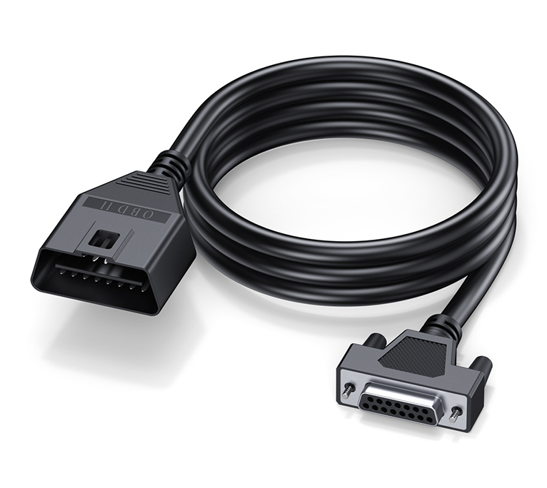 Main Cable