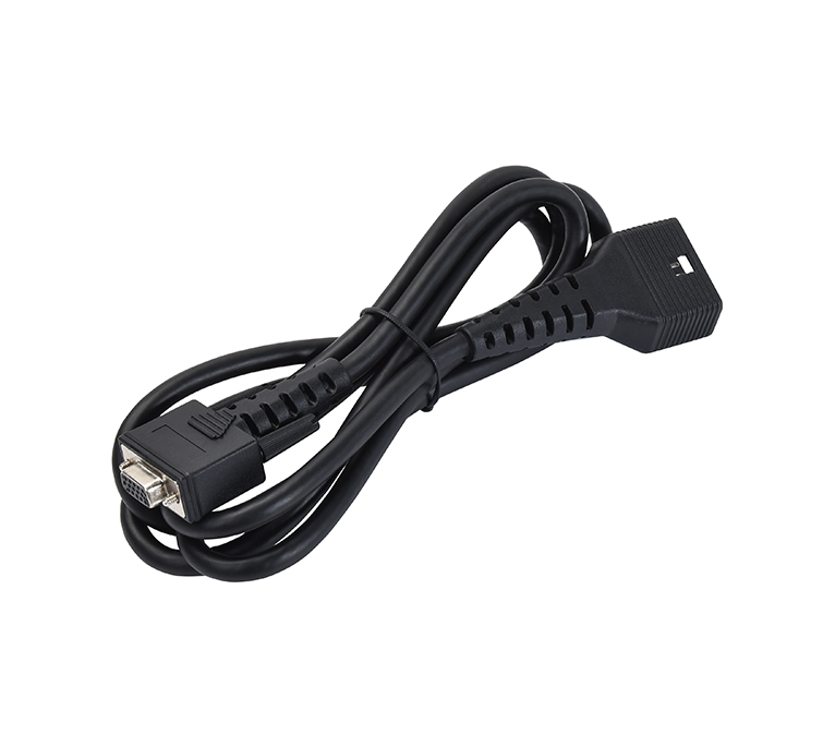 Main Cable